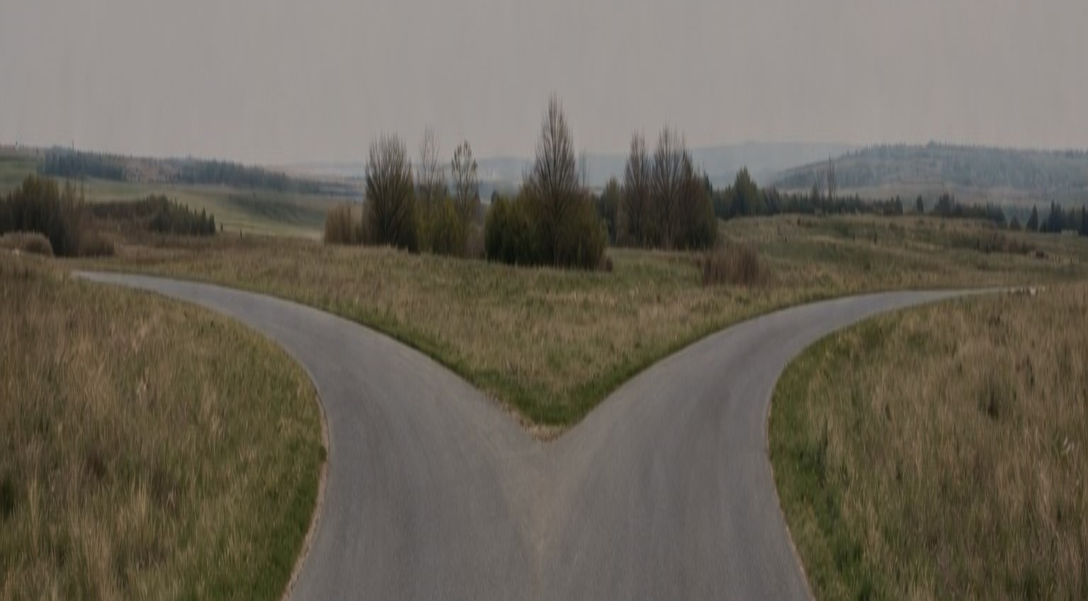 A fork in the road - choose your path